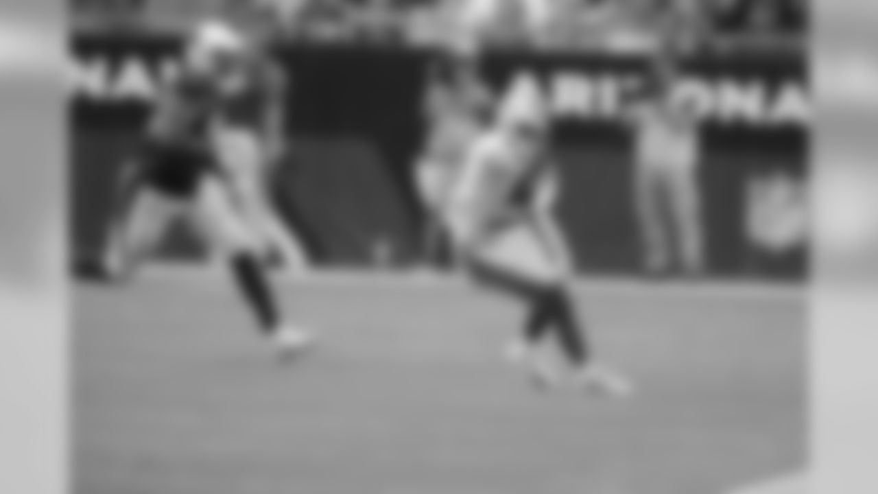 Detroit Lions wide receiver Danny Amendola (80) during a NFL football game against the Arizona Cardinals Sunday, Sept. 8, 2019 in Glendale, Ariz. (Detroit Lions via AP).