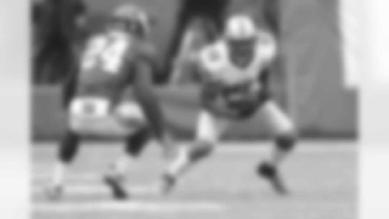 Anquan Boldin