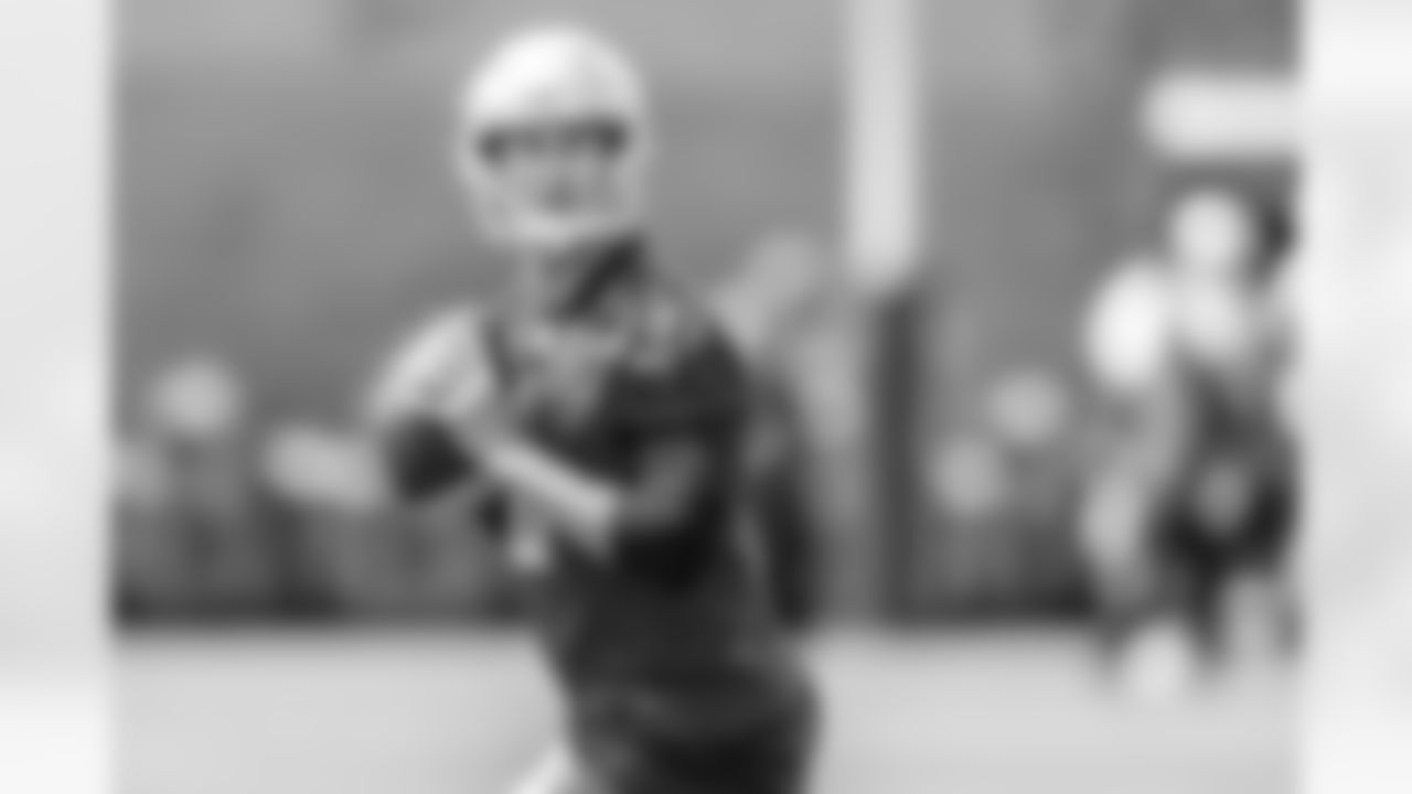 Matt Cassel