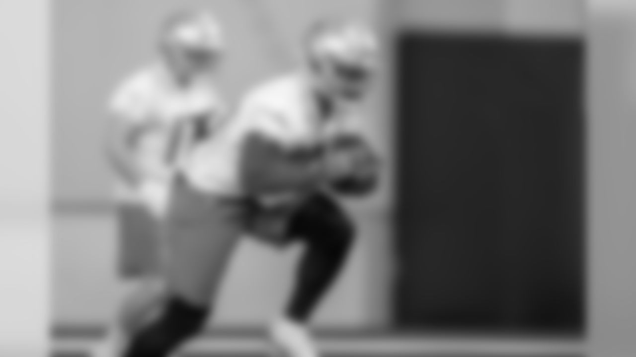 Detroit Lions running back Ty Johnson (38) during Day 1 of rookie minicamp on Friday, May 10, 2019 in Allen Park, Mich. (Detroit Lions via AP)