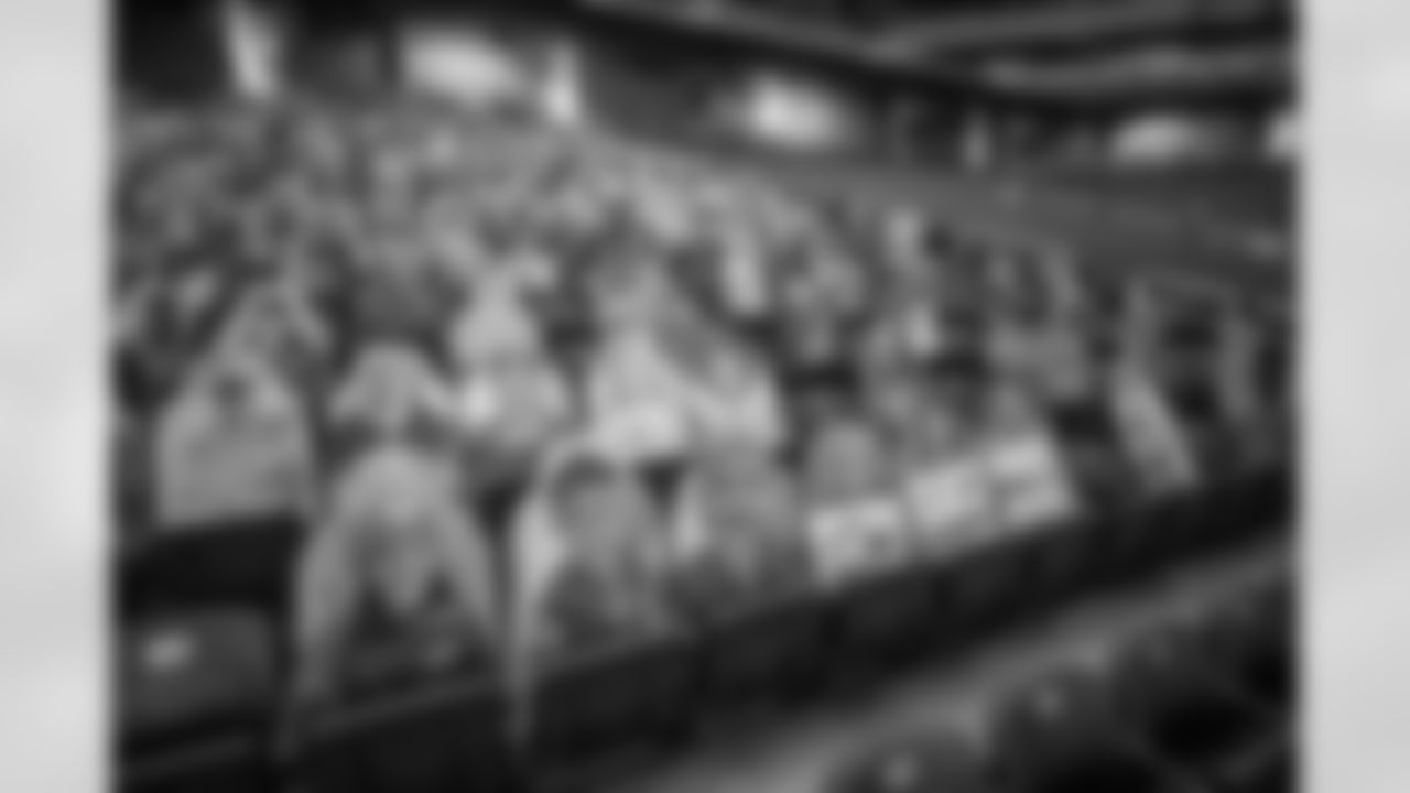 Ford Field Fan Cutouts