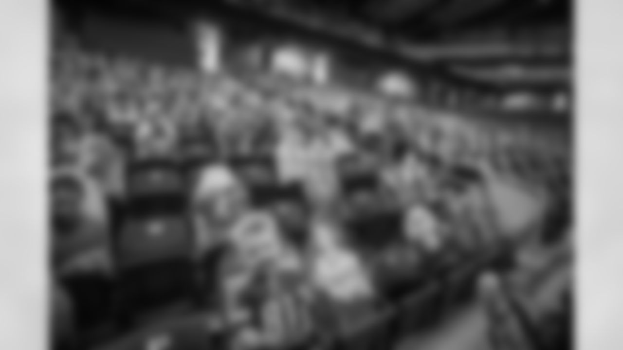 Ford Field Fan Cutouts