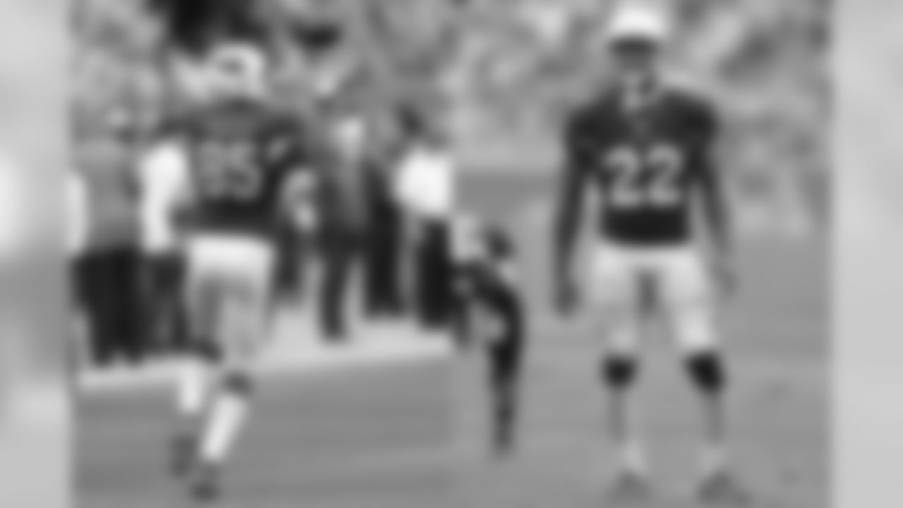 Ravens S Tony Jefferson played on the opposite side of the ball as Lions TE Darren Fells while members of the Arizona Cardinals from 2013-16.