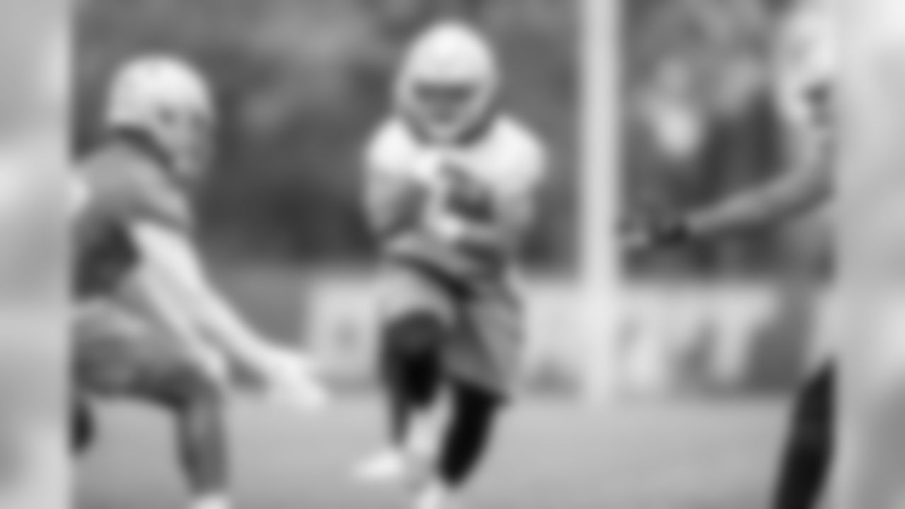 Detroit Lions running back Theo Riddick (25) during Day 1 of OTAs on Monday, May 20, 2019 in Allen Park, Mich. (Detroit Lions via AP)