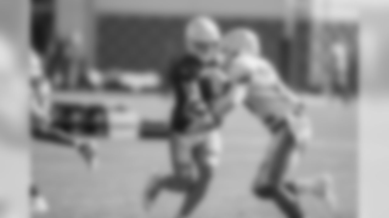 Detroit Lions quarterback Matthew Stafford (9) hands the ball off to running back Theo Riddick (25) during training camp practice on Sunday, July 29, 2018 in Allen Park, Mich. (Detroit Lions via AP)