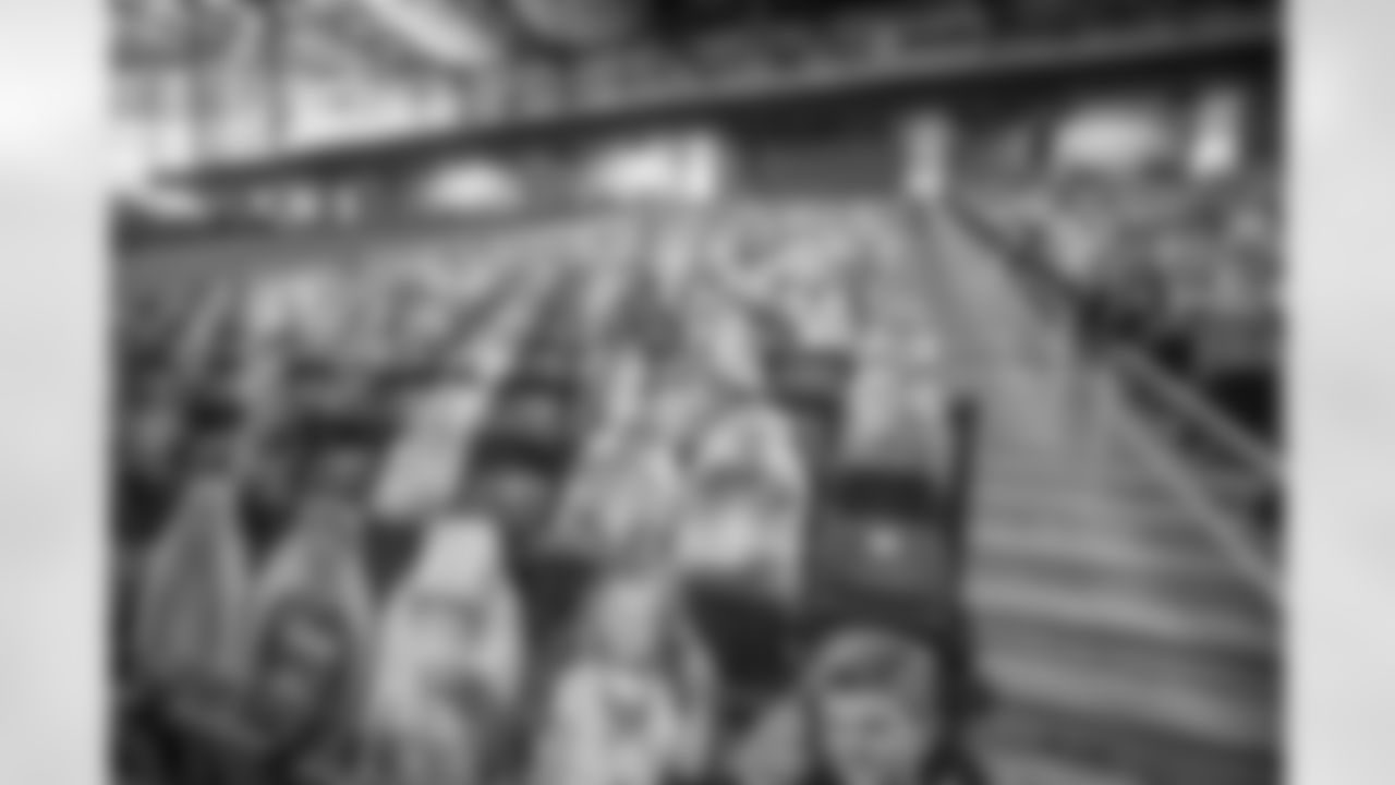 Ford Field Fan Cutouts