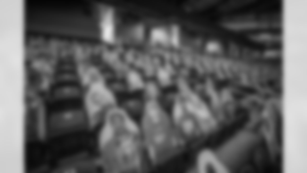 Ford Field Fan Cutouts