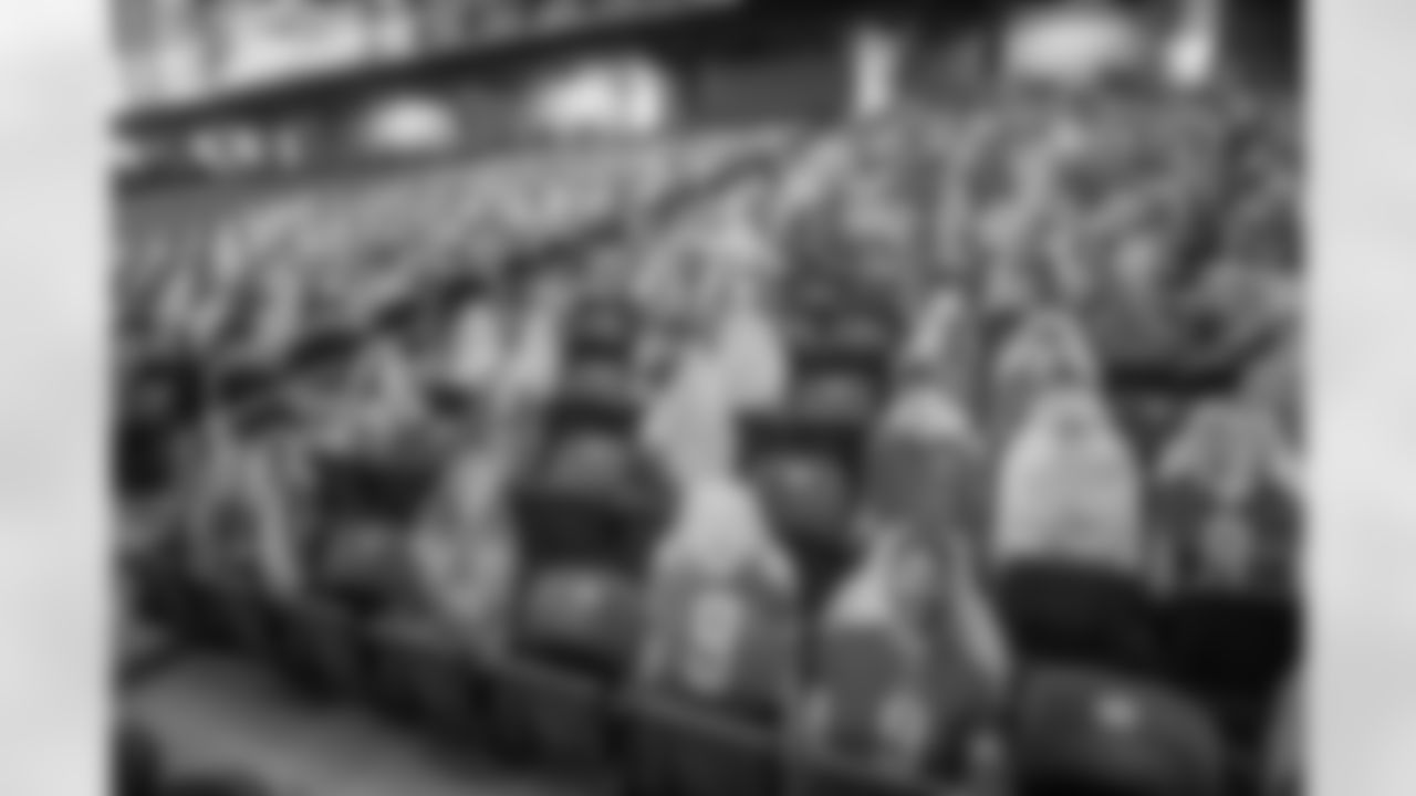 Ford Field Fan Cutouts