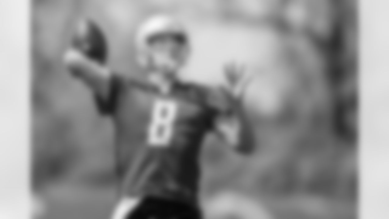 Matt Cassel