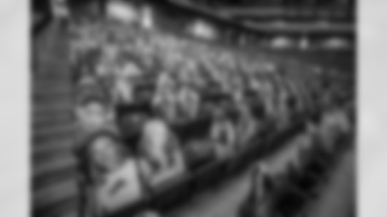 Ford Field Fan Cutouts
