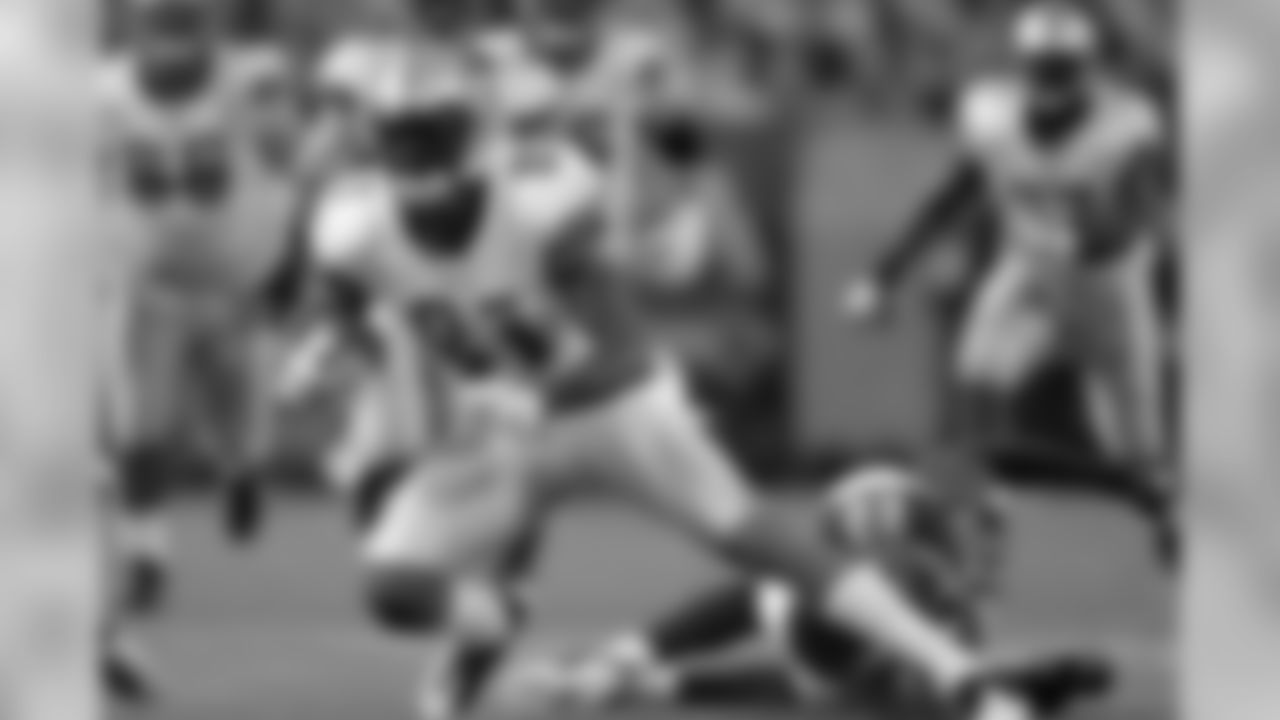 Nov. 15, 2009: Lions 10, Vikings 27
