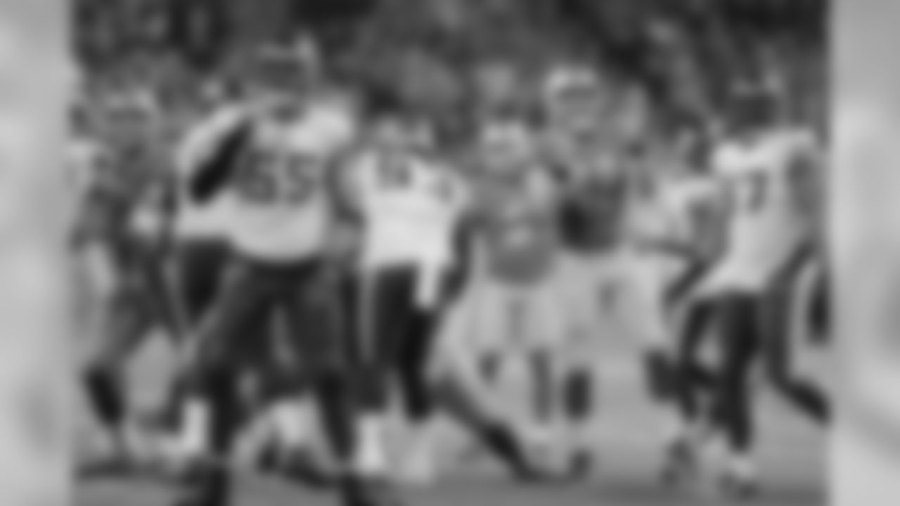 Detroit Lions long snapper Don Muhlbach (48) during a NFL football game against the Minnesota Vikings on Sunday, Dec. 23, 2018 in Detroit. (Detroit Lions via AP).