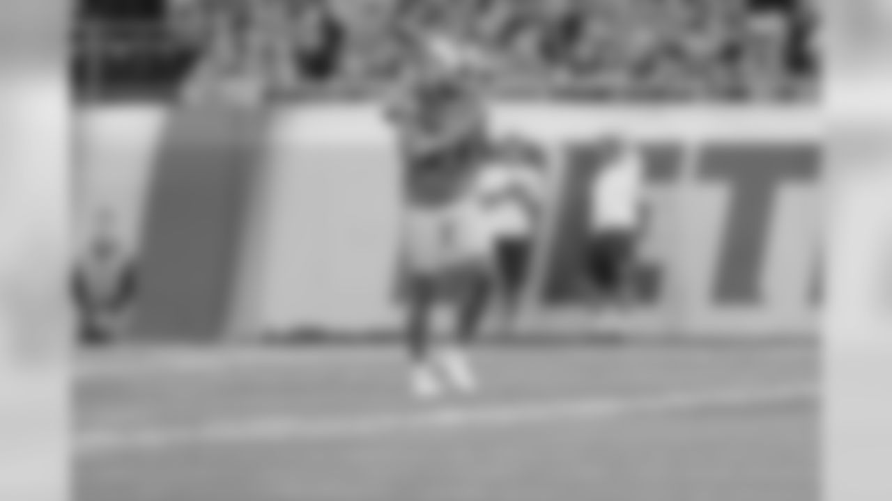 Detroit Lions punter Sam Martin (6) during a NFL football game against the Seattle Seahawks on Sunday, Oct. 28, 2018 in Detroit. (Detroit Lions via AP).