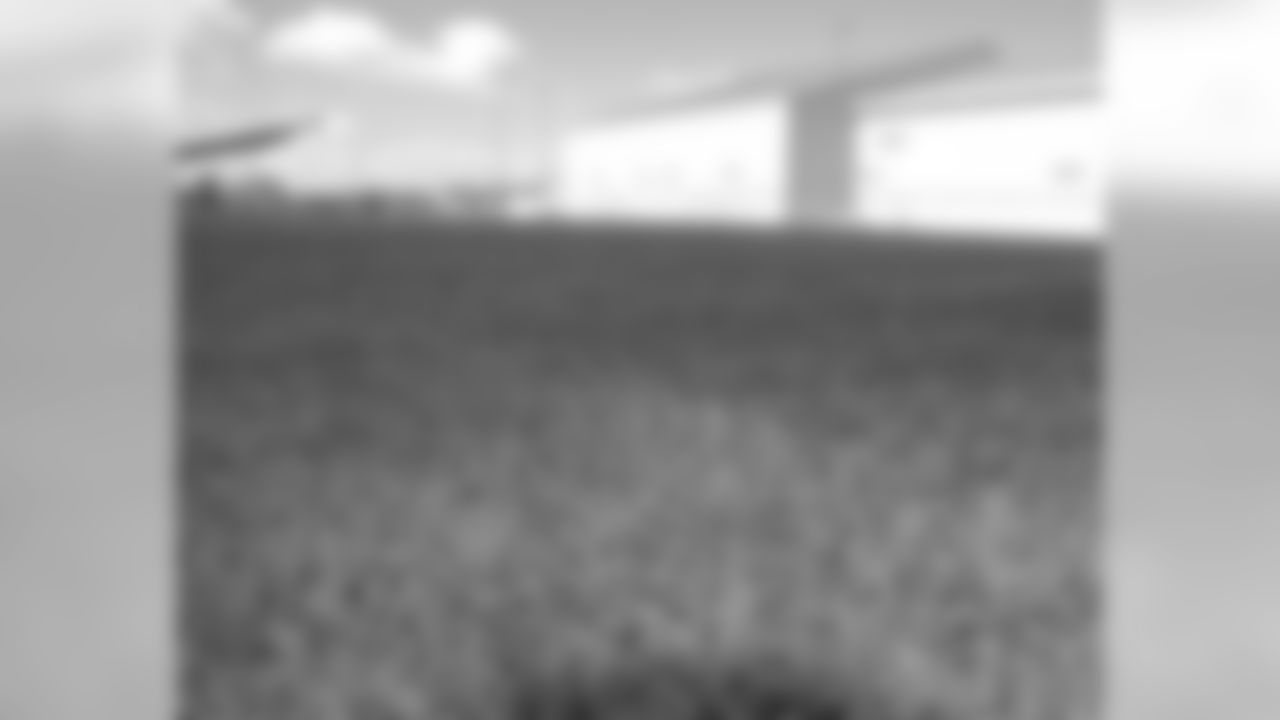 Sod Placed On Nitschke Field