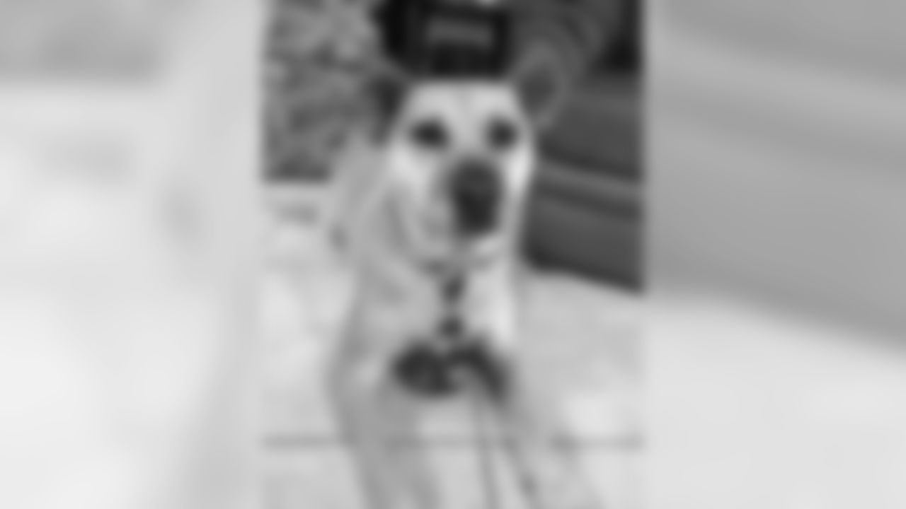 200323-3-national-puppy-day-07