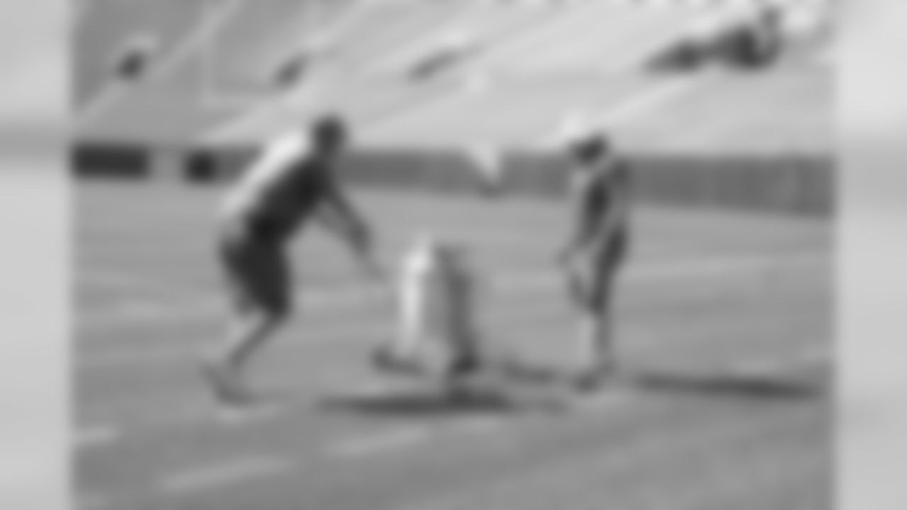 180808-lambeau-field-painting-14