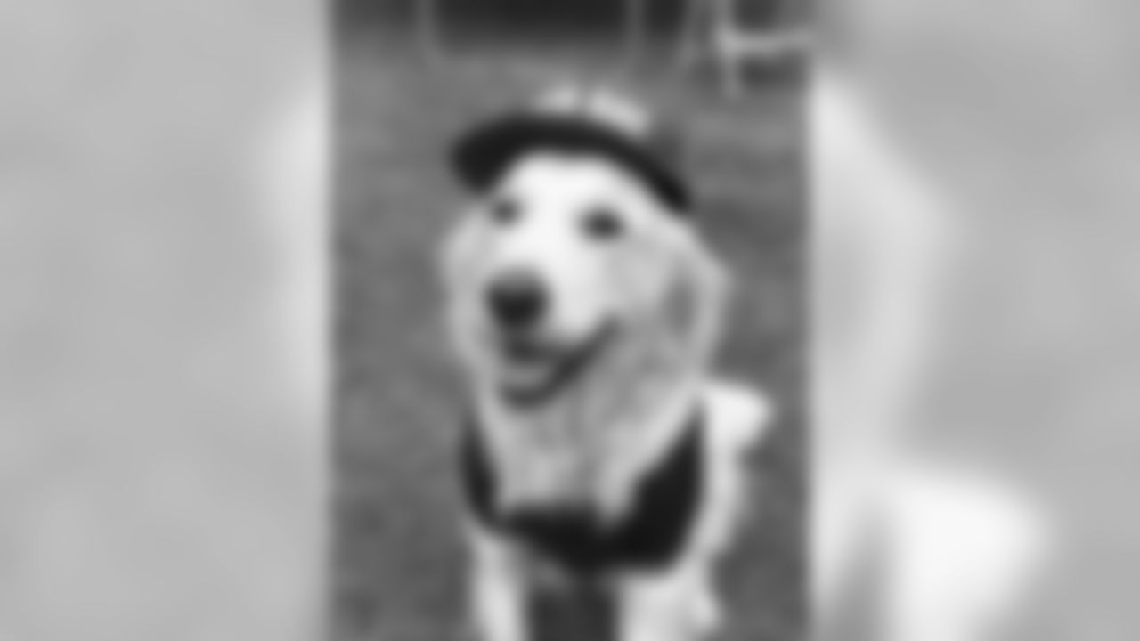 180716-packers-pets-38