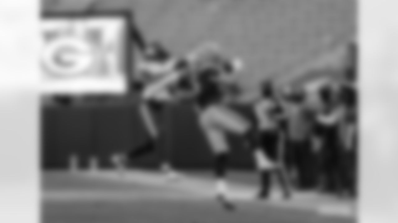 201101-packers-vikings-4-siegle-WM-048