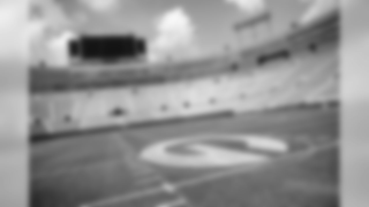 180808-lambeau-field-painting-10