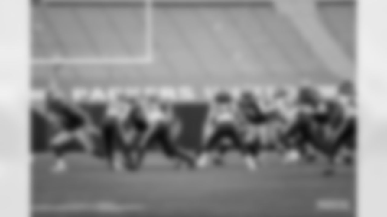 201101-packers-vikings-1-siegle-WM-010