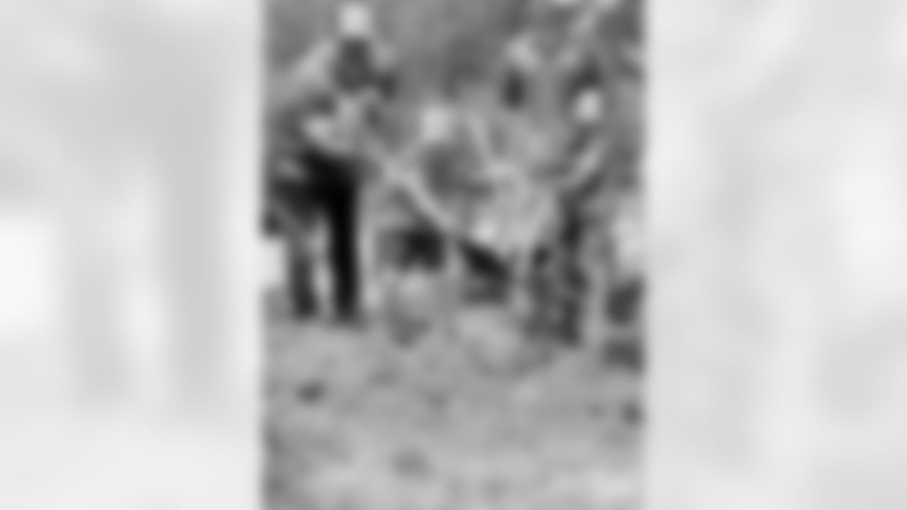 230623-trees-gallery-2560-13