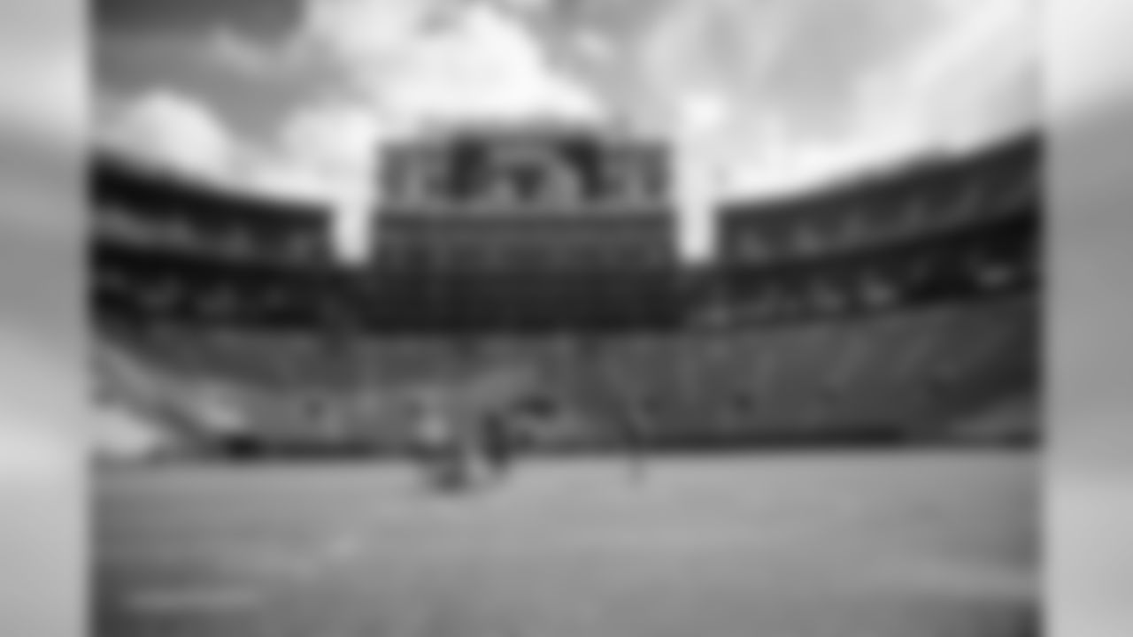 180908-field-painting-hartwig-9
