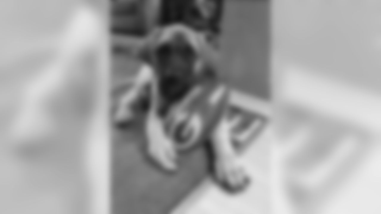 180716-packers-pets-48