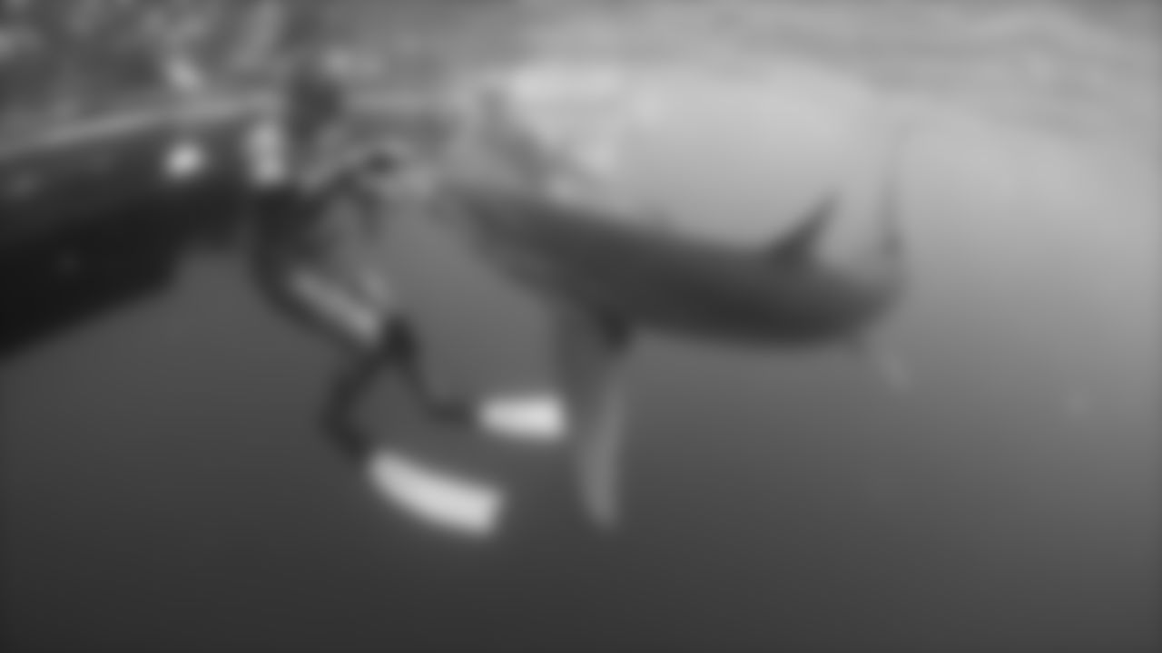 180724-sharks-rodgers-006