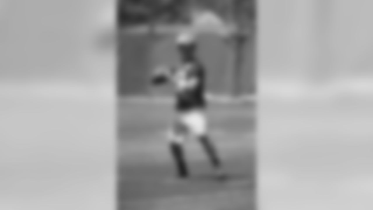 QB Aaron Rodgers (12)