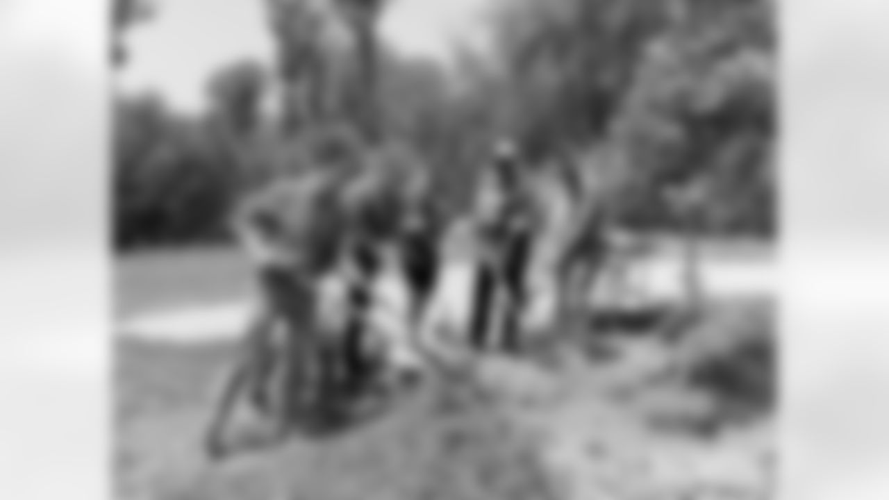 230623-trees-gallery-2560-12