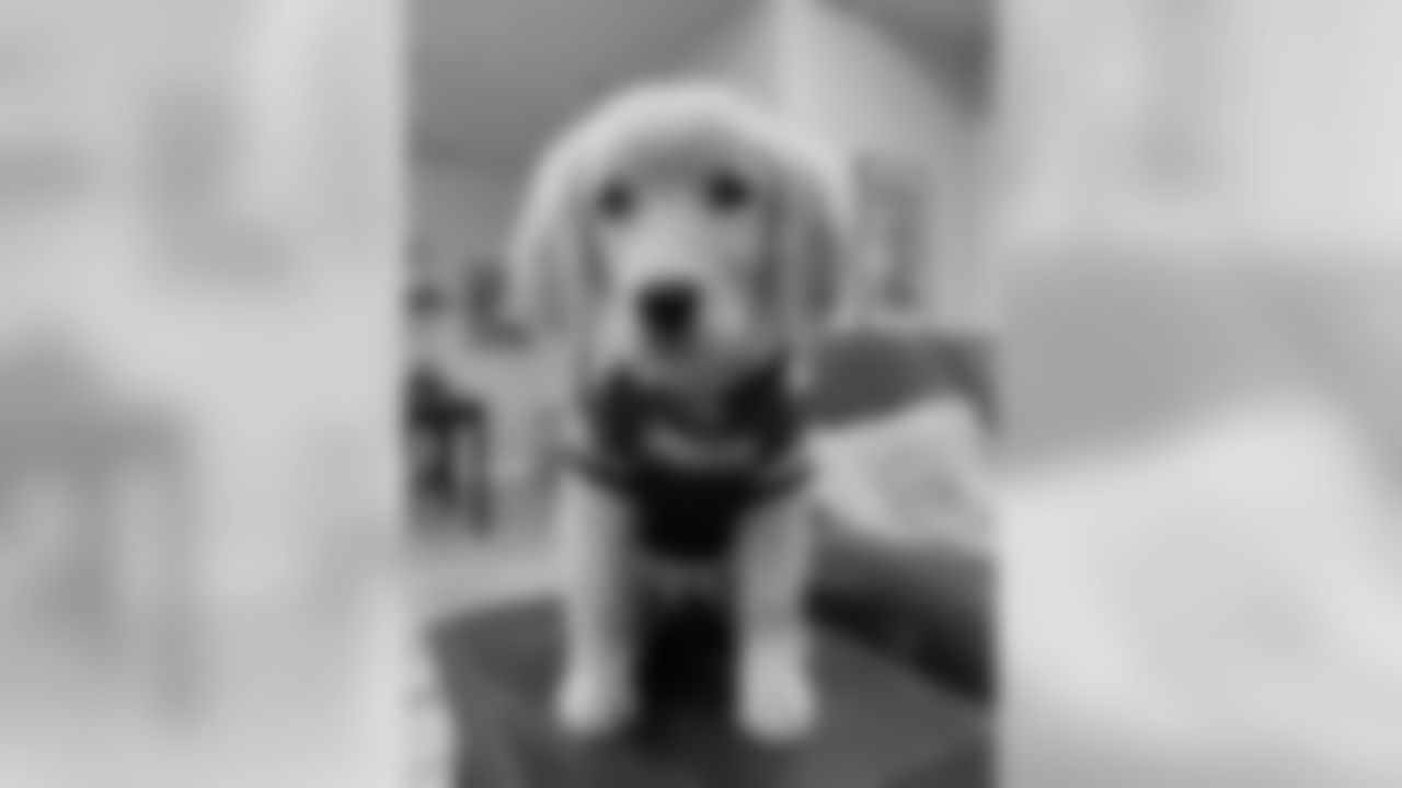 200323-2-national-puppy-day-06