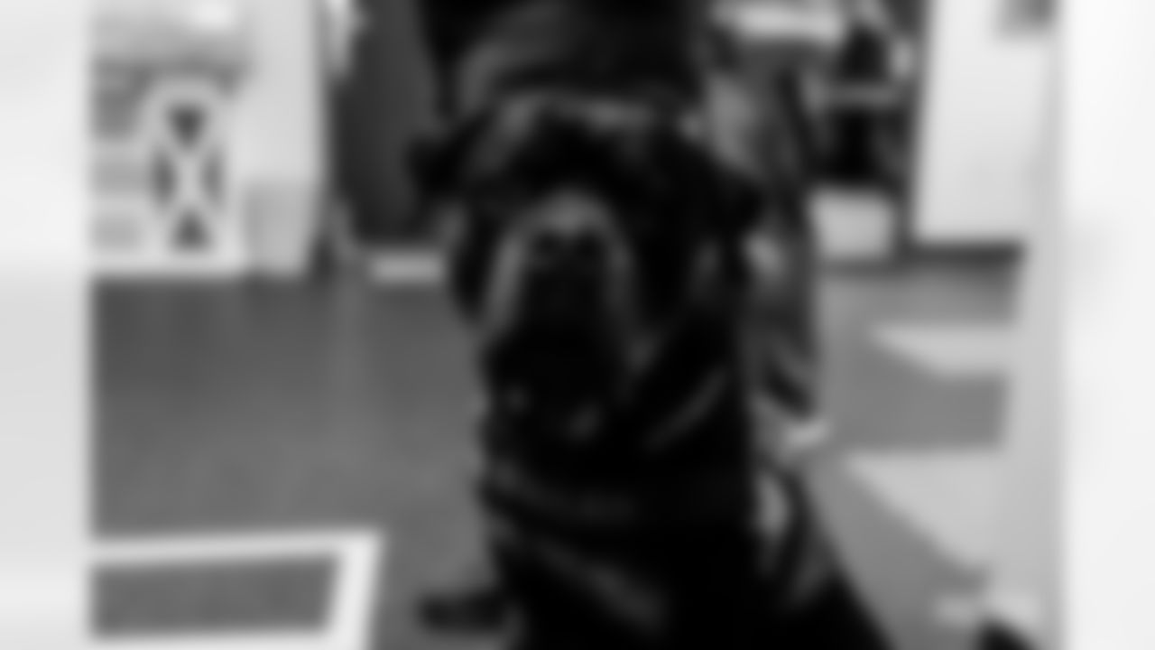 221102-k9-gallery-2560017