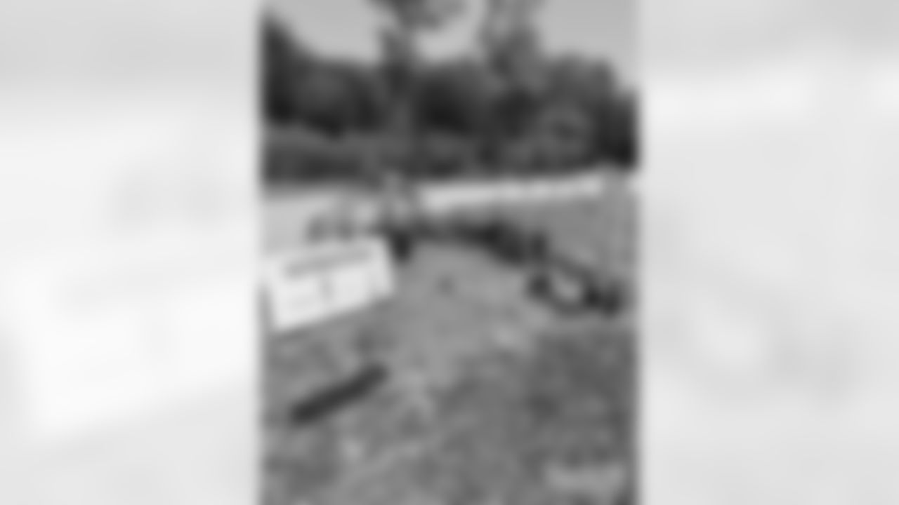 230623-trees-gallery-2560-2
