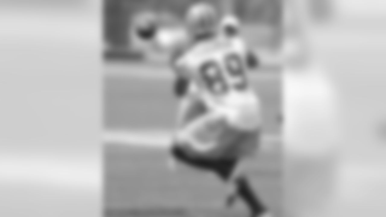 WR Robert Ferguson