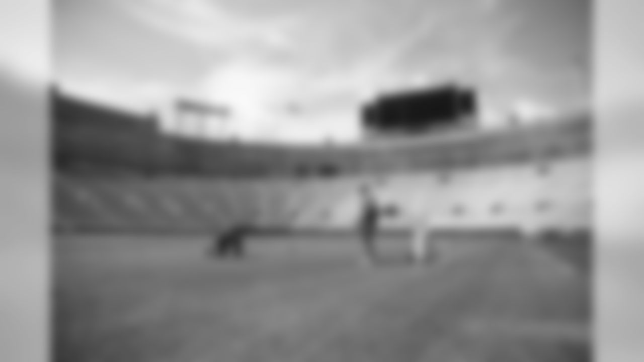 180808-lambeau-field-painting-12