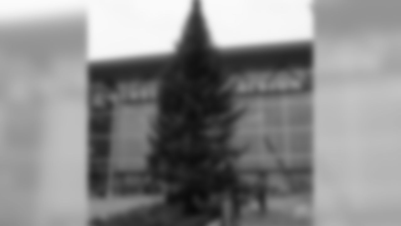 Tree In Place For Festival Of Lights At Lambeau Field