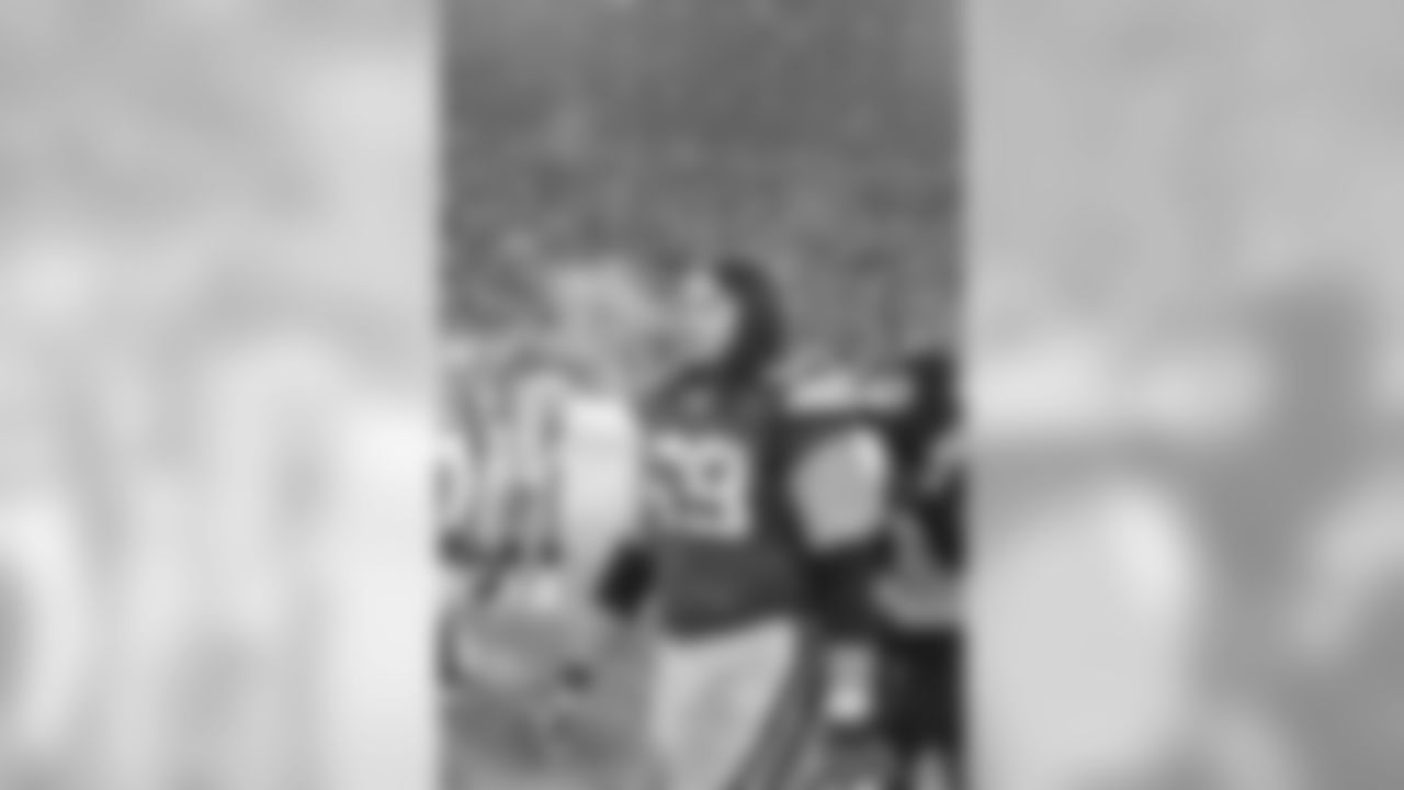 Dec. 22, 2013 - Packers vs. Steelers at Lambeau Field