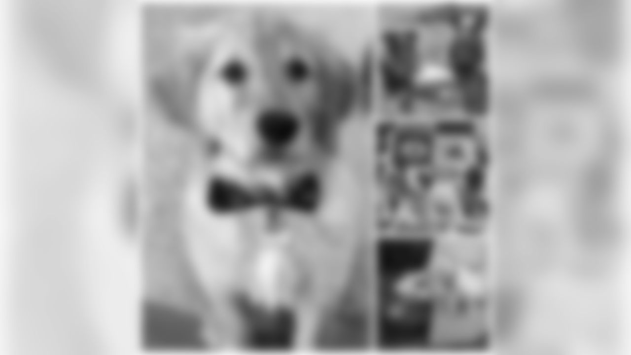 180716-packers-pets-66