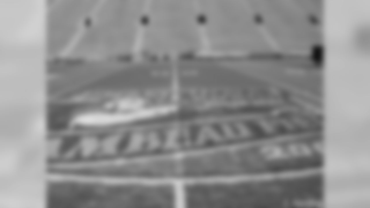 'Rebirth of a Legend' Logo Painted On Lambeau Field