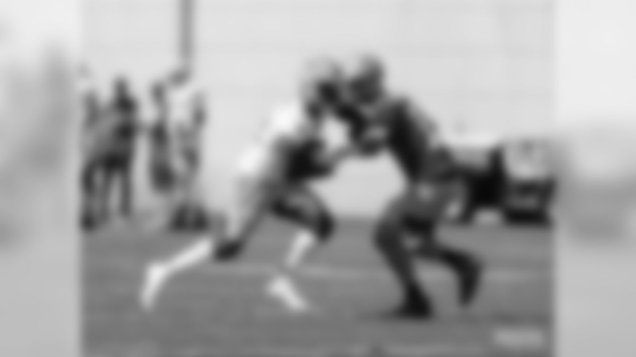 QB Aaron Rodgers hands off to RB Dexter Williams
