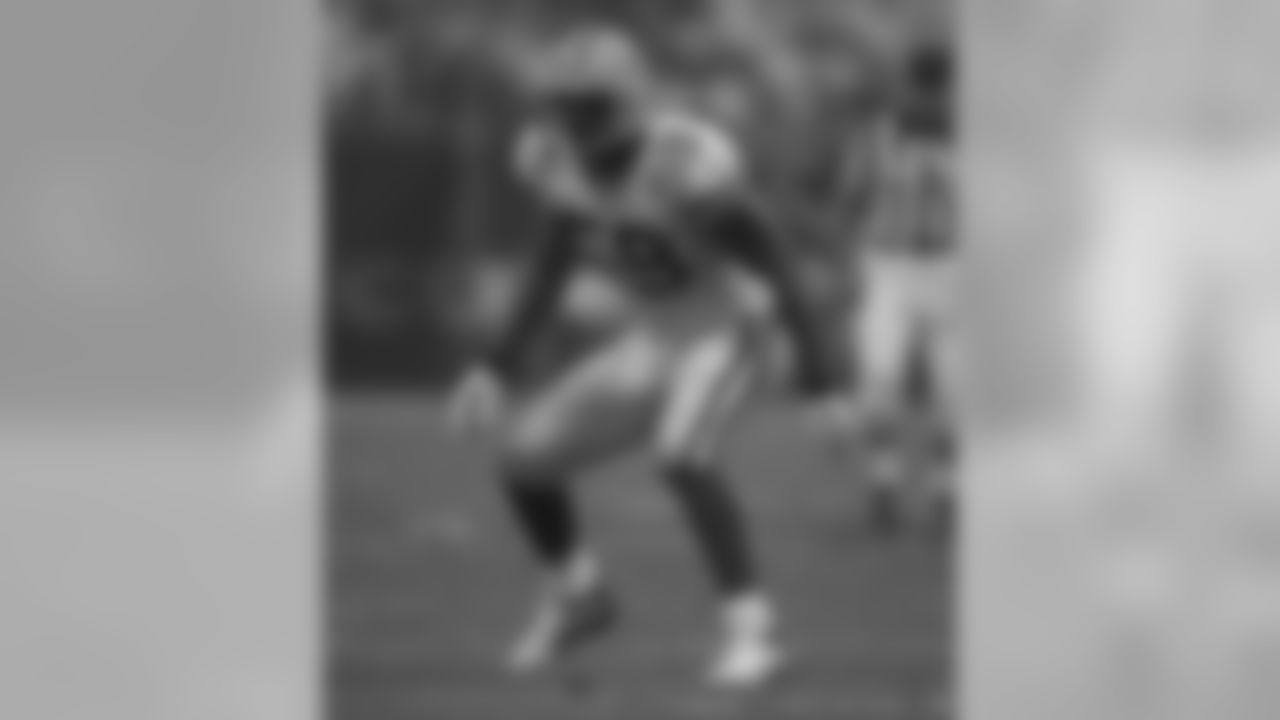 Week 11: Packers at Texans