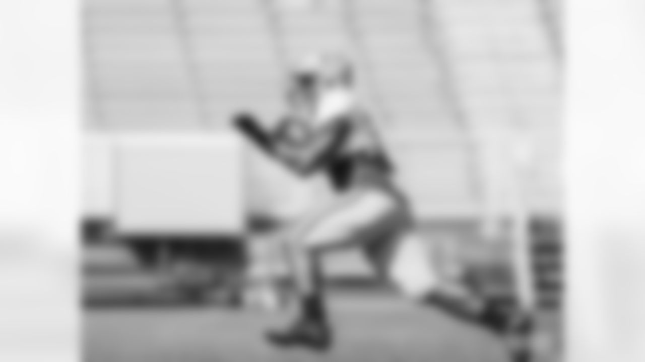 RB AJ Dillon
