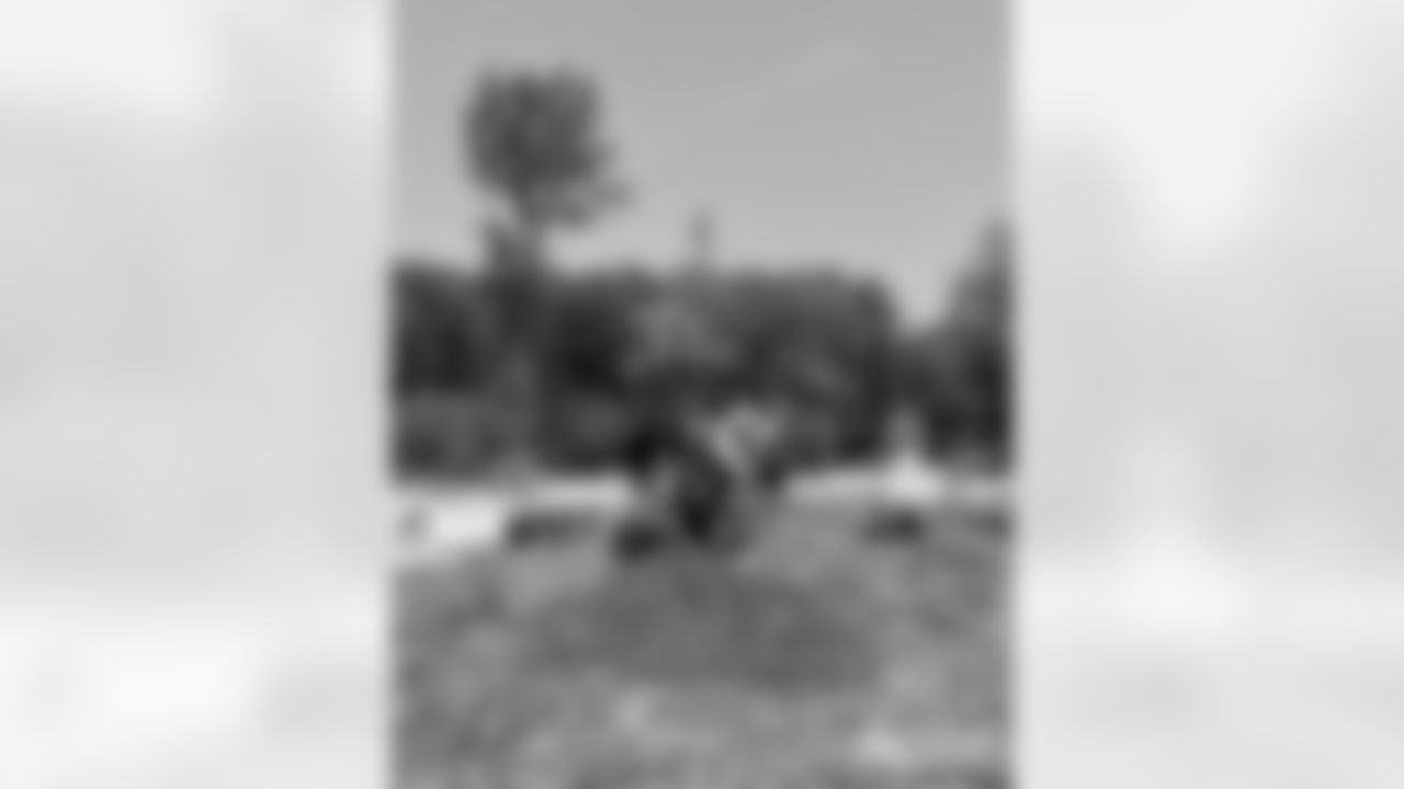 230623-trees-gallery-2560-4