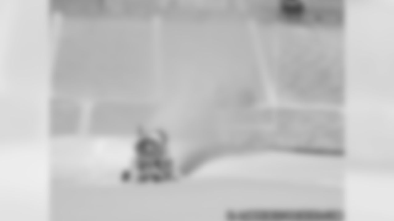 Lambeau Field Experiences Localized Blizzard