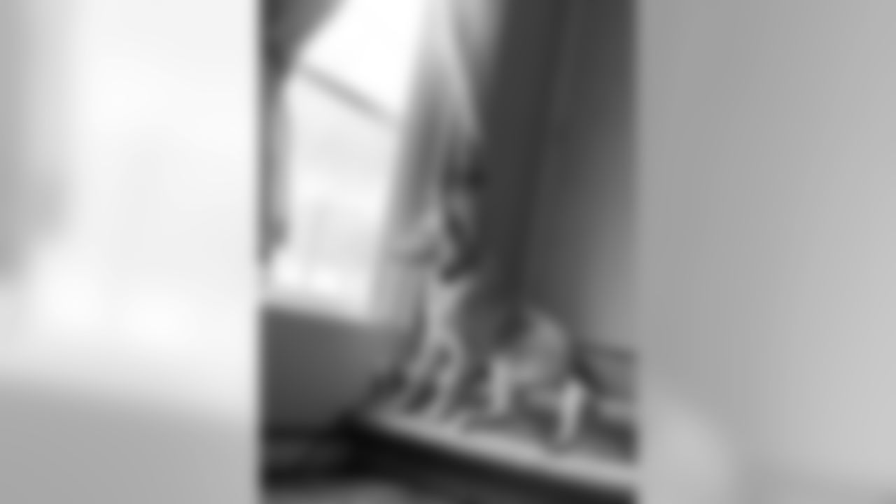 200323-national-puppy-day-21