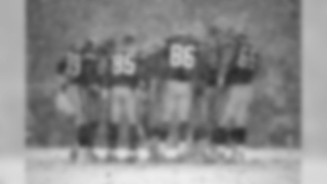 (NFC Divisional Playoff)