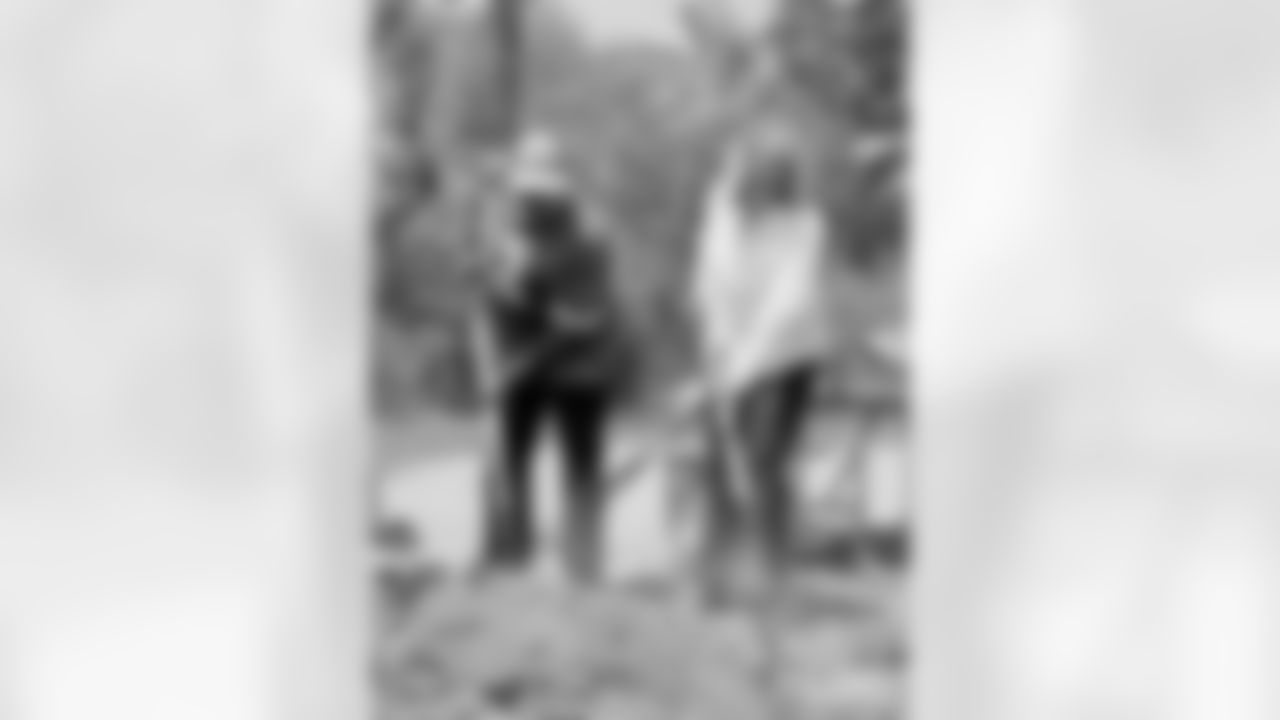 230623-trees-gallery-2560-8