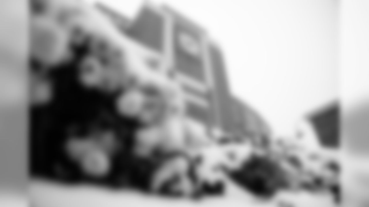 191106-snowfall-at-lambeau-7
