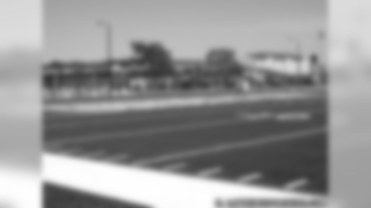 Ray Nitschke Field Renovations