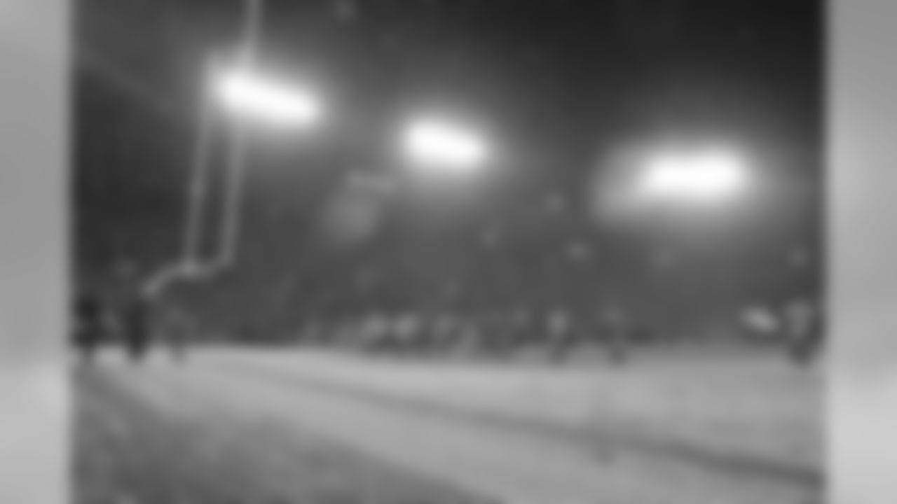Dec. 22, 2013 - Packers vs. Steelers at Lambeau Field